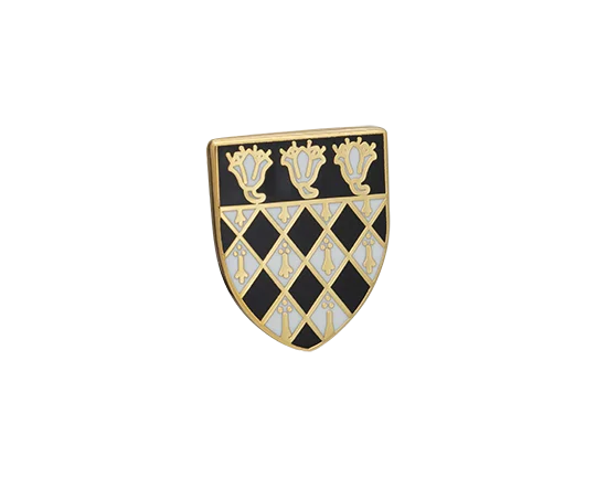 Best cufflinks for men with classic designs for formal occasions and business meetings-Magdalen College Lapel Pin