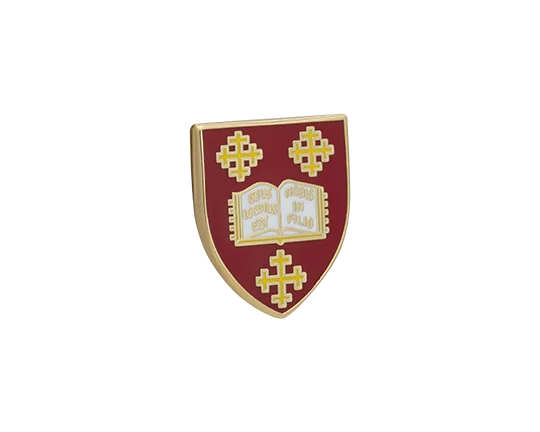 Cufflinks with colorful gemstones for a vibrant and eye-catching appearance-Mansfield College Lapel Pin